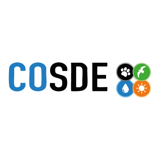 COSDE